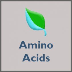 Amino Acids