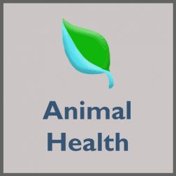 Animal Health
