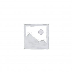 Uncategorised